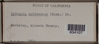 Image Associated With the Occurence